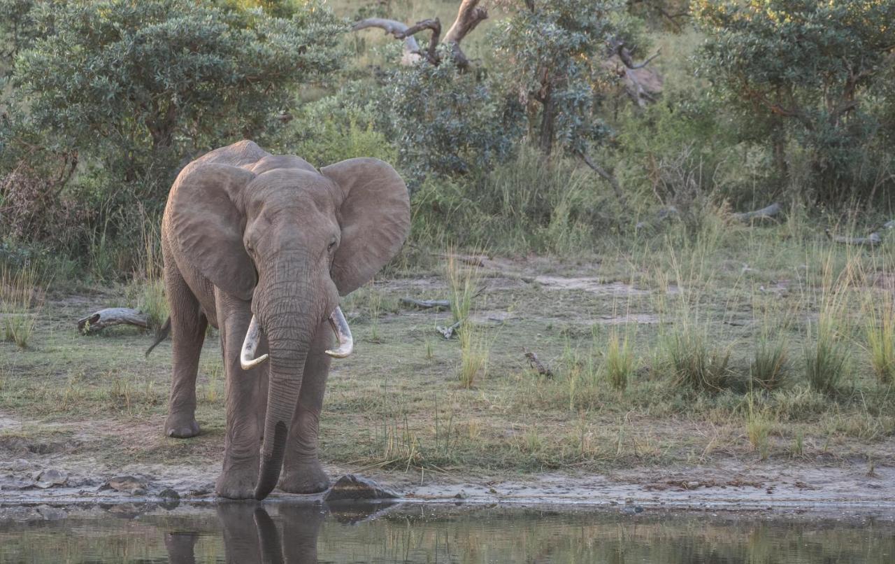Tamboti River Lodge Hectorspruit Екстер'єр фото